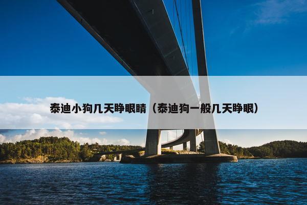 泰迪小狗几天睁眼睛（泰迪狗一般几天睁眼）