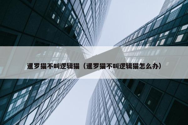 逻辑