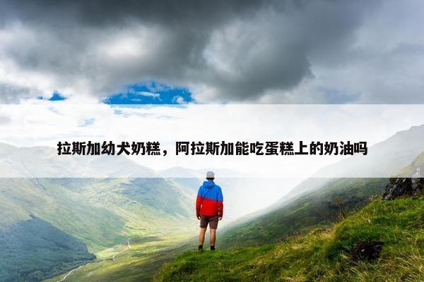 拉斯加幼犬奶糕，阿拉斯加能吃蛋糕上的奶油吗