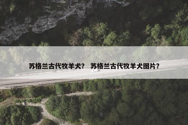 苏格兰古代牧羊犬？ 苏格兰古代牧羊犬图片？