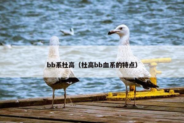 鼓浪屿