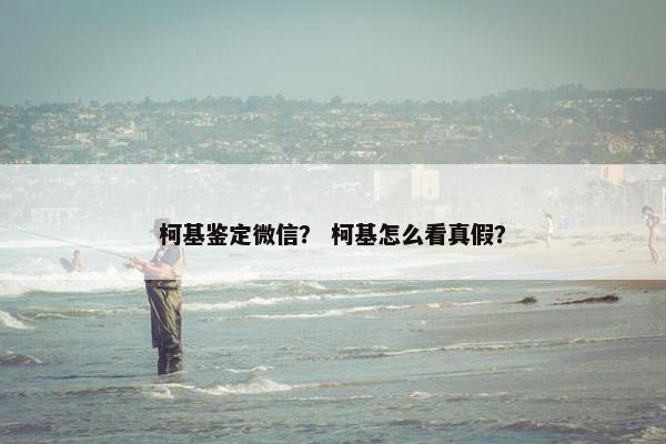 柯基鉴定微信？ 柯基怎么看真假？