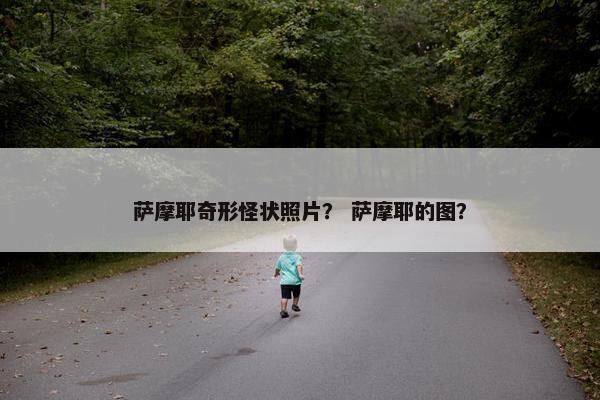 萨摩耶奇形怪状照片？ 萨摩耶的图？