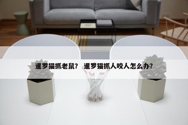 捕鼠
