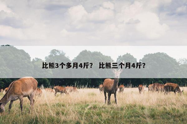 比熊3个多月4斤？ 比熊三个月4斤？