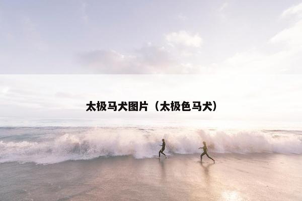 太极马犬图片（太极色马犬）