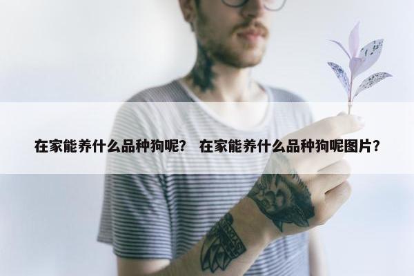 在家能养什么品种狗呢? 在家能养什么品种狗呢图片?
