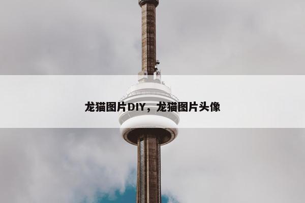 龙猫图片DIY，龙猫图片头像