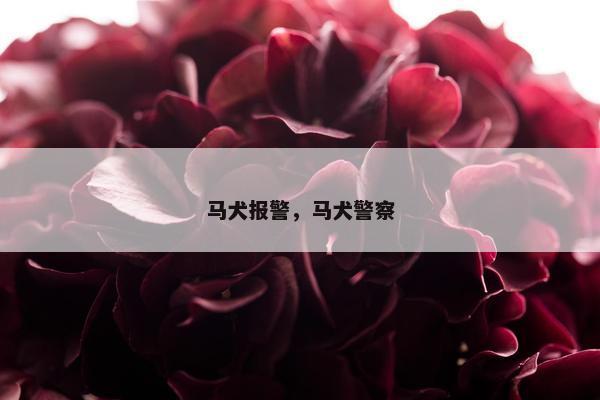 马犬报警，马犬警察