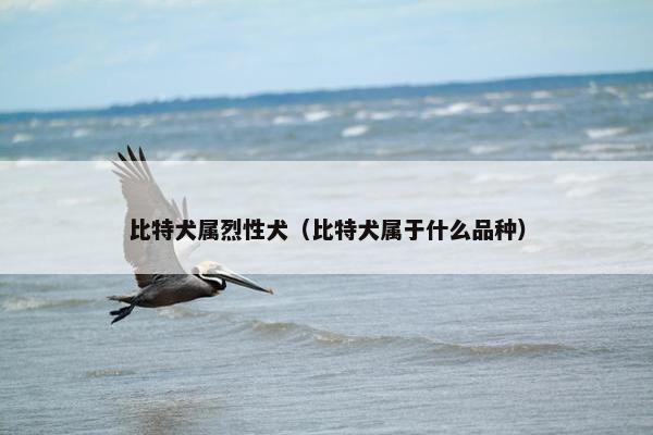 看家 第3页
