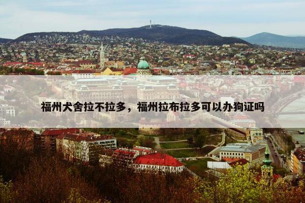 福州犬舍拉不拉多，福州拉布拉多可以办狗证吗