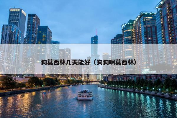 狗莫西林几天能好（狗狗啊莫西林）