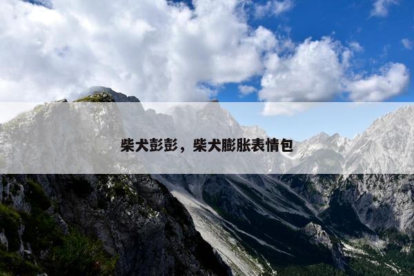 柴犬彭彭，柴犬膨胀表情包
