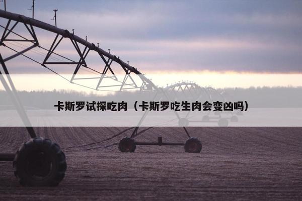 卡斯罗试探吃肉（卡斯罗吃生肉会变凶吗）