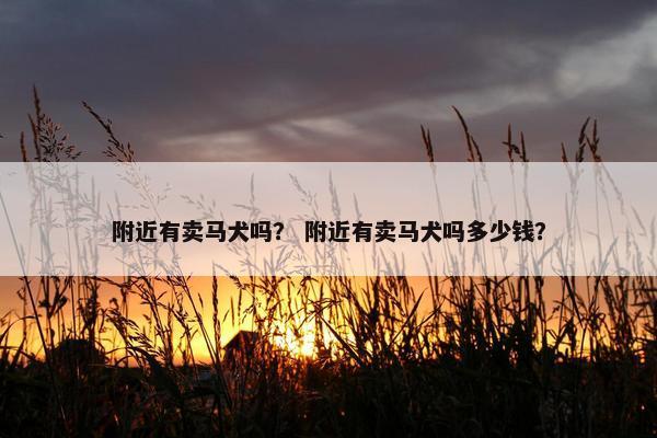 附近有卖马犬吗? 附近有卖马犬吗多少钱?