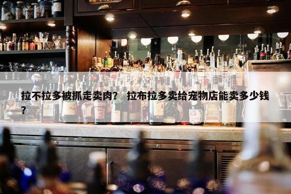 拉不拉多被抓走卖肉？ 拉布拉多卖给宠物店能卖多少钱？