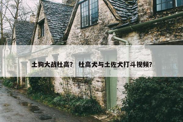 土狗大战杜高? 杜高犬与土佐犬打斗视频?