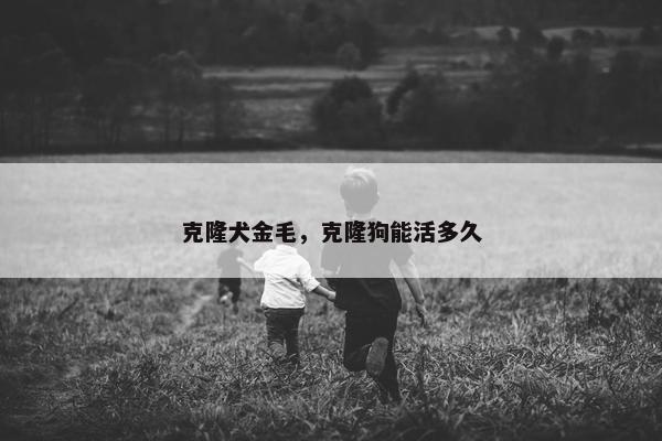 克隆犬金毛，克隆狗能活多久
