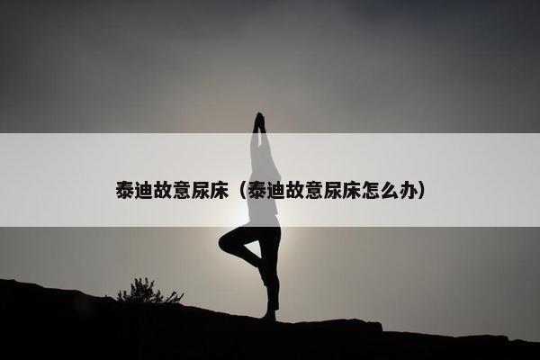 泰迪故意尿床(泰迪故意尿床怎么办)