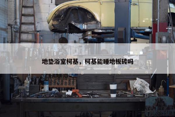地垫浴室柯基，柯基能睡地板砖吗