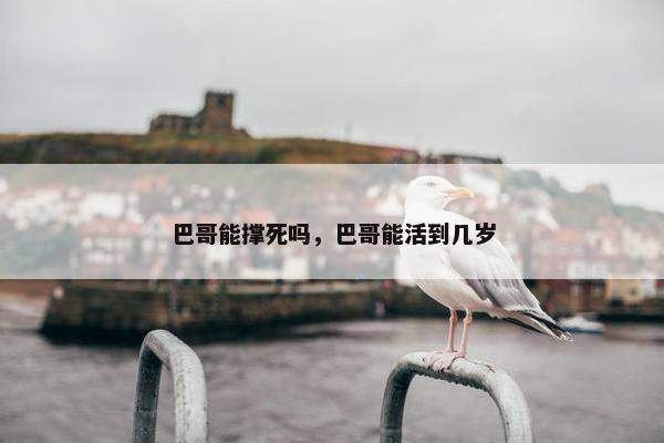 巴哥能撑死吗,巴哥能活到几岁