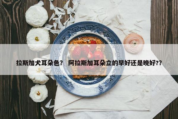 拉斯加犬耳朵色？ 阿拉斯加耳朵立的早好还是晚好?？