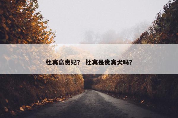 杜宾高贵妃？ 杜宾是贵宾犬吗？
