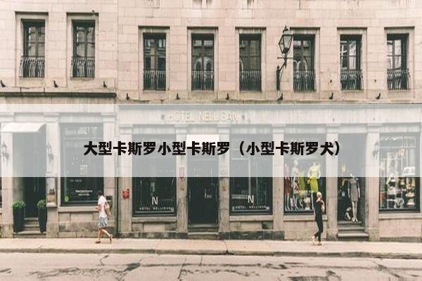 大型卡斯罗小型卡斯罗（小型卡斯罗犬）