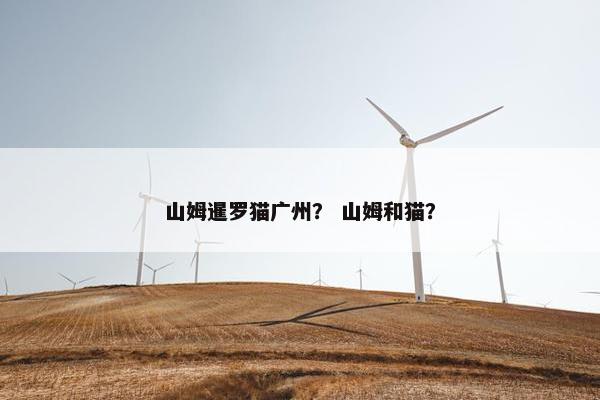 山姆暹罗猫广州？ 山姆和猫？