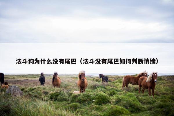 法斗狗为什么没有尾巴（法斗没有尾巴如何判断情绪）