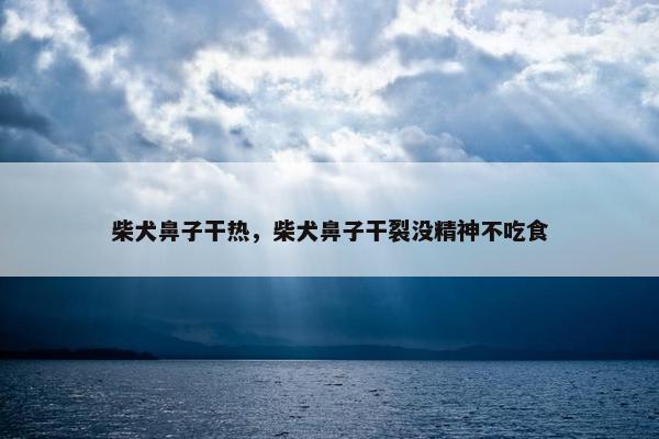 柴犬鼻子干热,柴犬鼻子干裂没精神不吃食