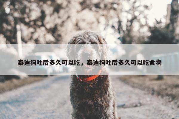 泰迪狗吐后多久可以吃，泰迪狗吐后多久可以吃食物