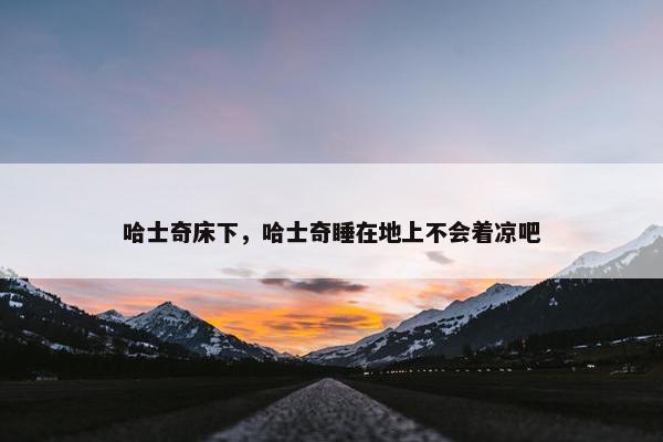 哈士奇床下，哈士奇睡在地上不会着凉吧