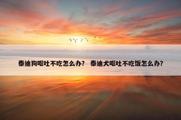 泰迪狗呕吐不吃怎么办？ 泰迪犬呕吐不吃饭怎么办？