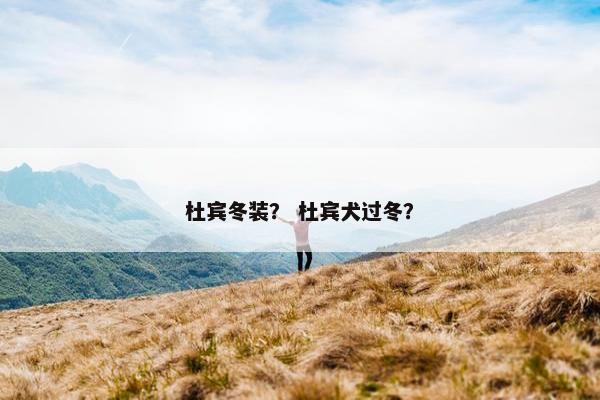 杜宾冬装？ 杜宾犬过冬？