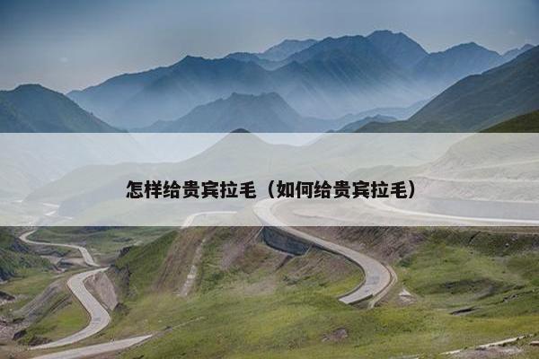拉毛