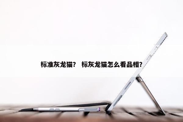 标准灰龙猫? 标灰龙猫怎么看品相?