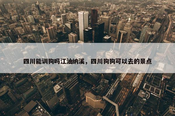 泸州市