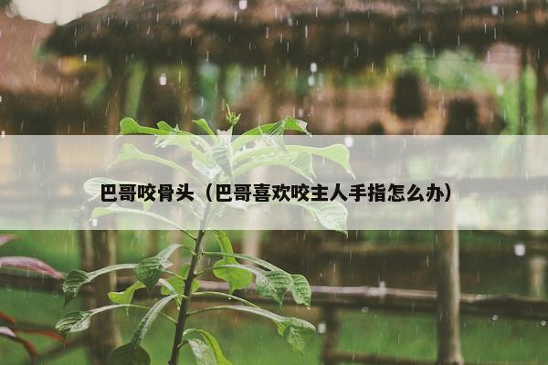 巴哥咬骨头（巴哥喜欢咬主人手指怎么办）