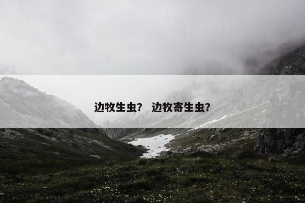 边牧生虫？ 边牧寄生虫？