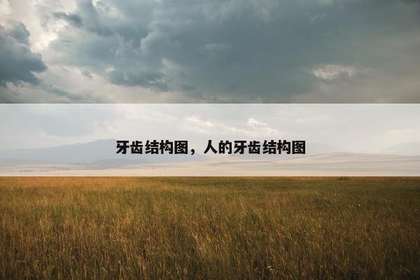 牙冠