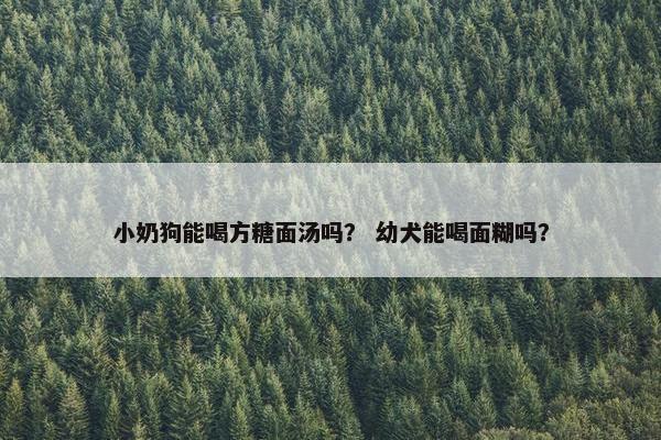 小奶狗能喝方糖面汤吗? 幼犬能喝面糊吗?