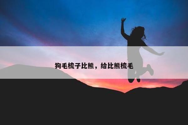 狗毛梳子比熊，给比熊梳毛