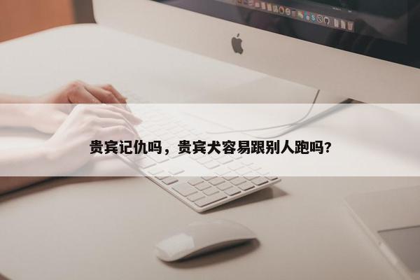 贵宾记仇吗，贵宾犬容易跟别人跑吗?