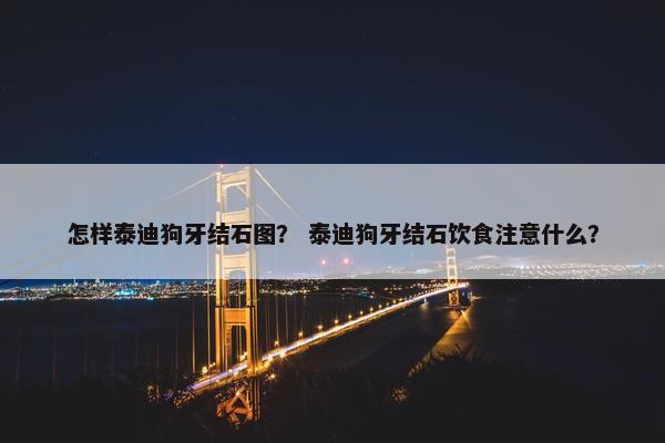 怎样泰迪狗牙结石图？ 泰迪狗牙结石饮食注意什么？