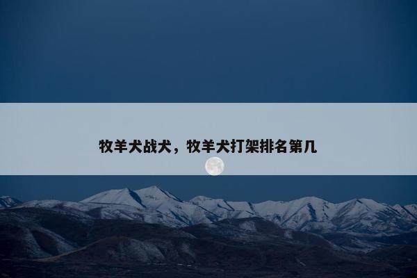 牧羊犬战犬，牧羊犬打架排名第几