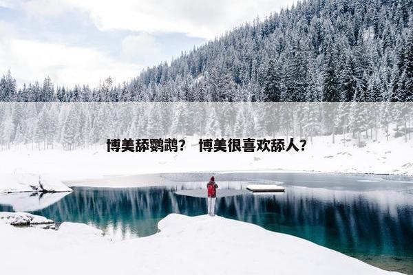 博美舔鹦鹉？ 博美很喜欢舔人？