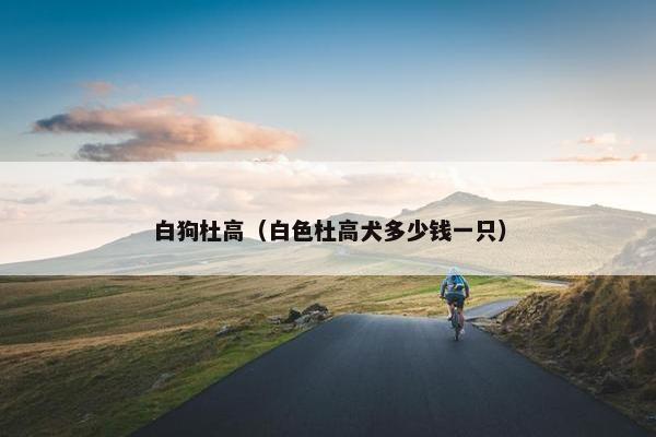 白狗杜高（白色杜高犬多少钱一只）