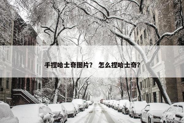 手捏哈士奇图片？ 怎么捏哈士奇？