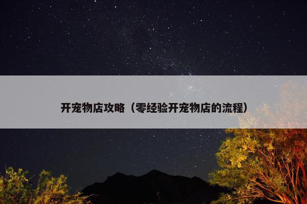 开宠物店攻略（零经验开宠物店的流程）
